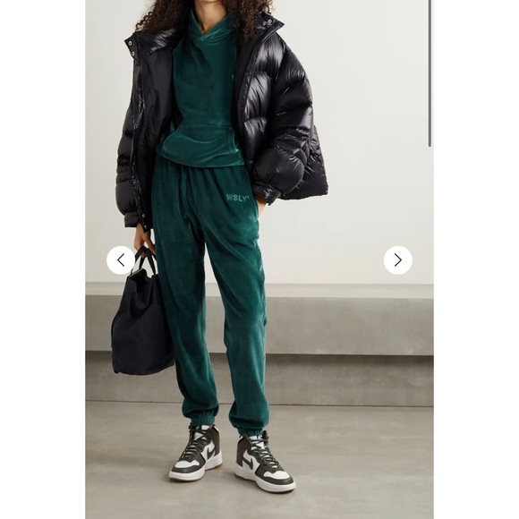 NWT $148 WSLY Eco Plush Classic Pocket Hoodie in Tourmaline Small - Picture 2 of 12